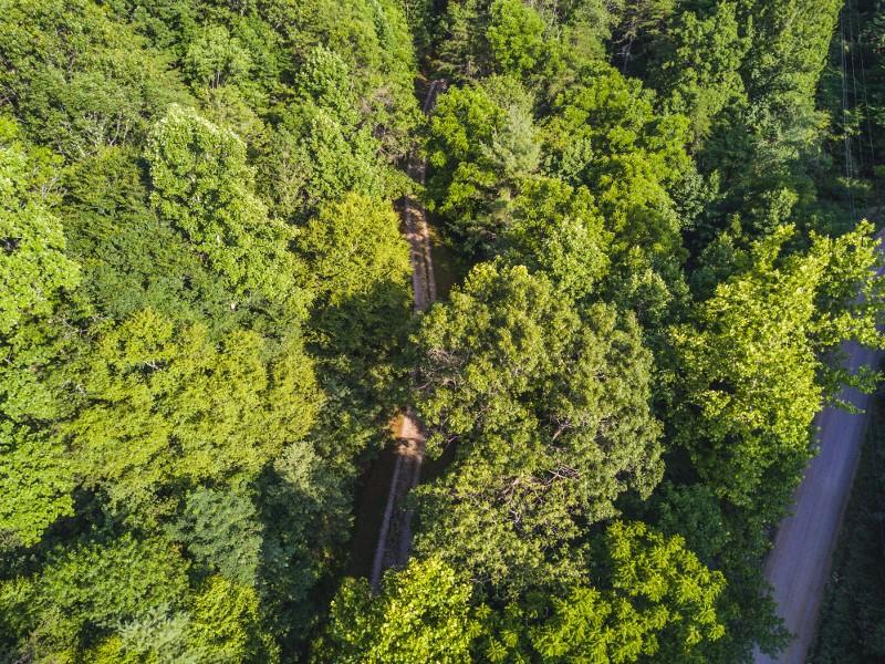 1150 Thunderstruck Road Northeast Floyd, VA 24091 - Photo 52 of 54 DJI_0130 (800x600)