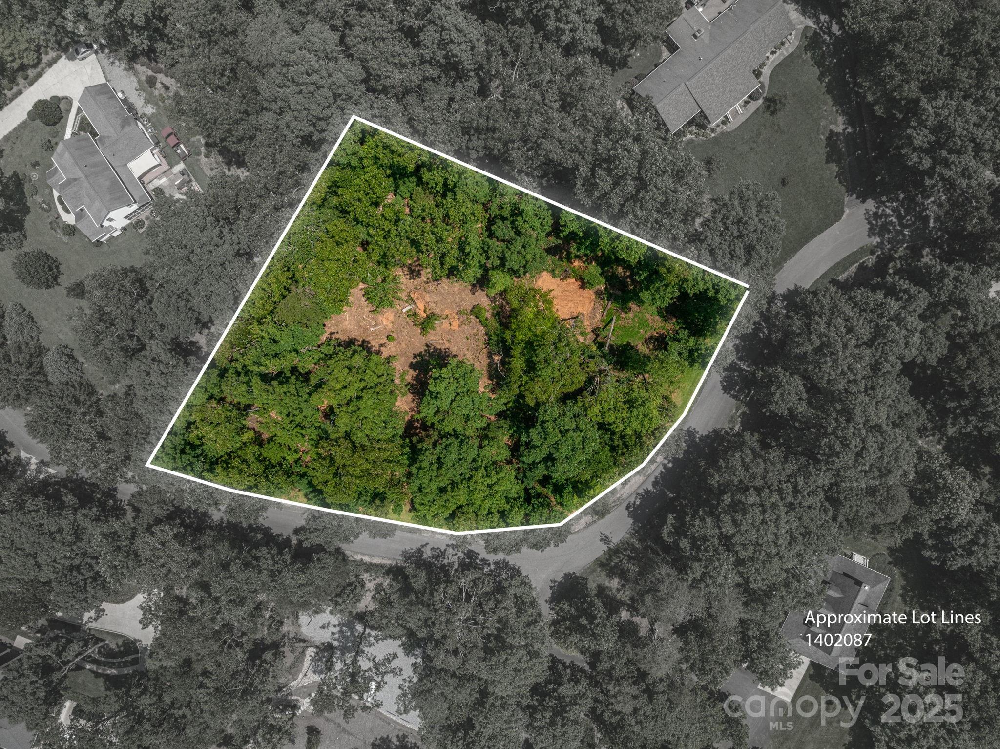 Lot # Moss Drive Rutherfordton, NC 28139 - Photo 1 of 27 a view of a green yard with plants