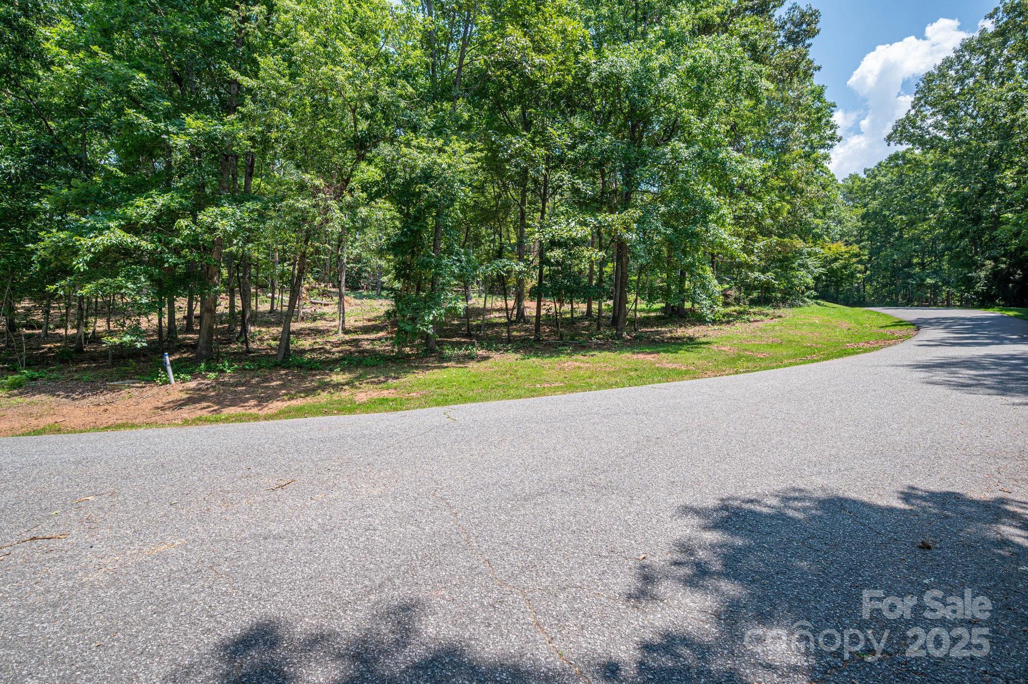 Lot # Moss Drive Rutherfordton, NC 28139 - Photo 13 of 27 a view of pool and trees in the background