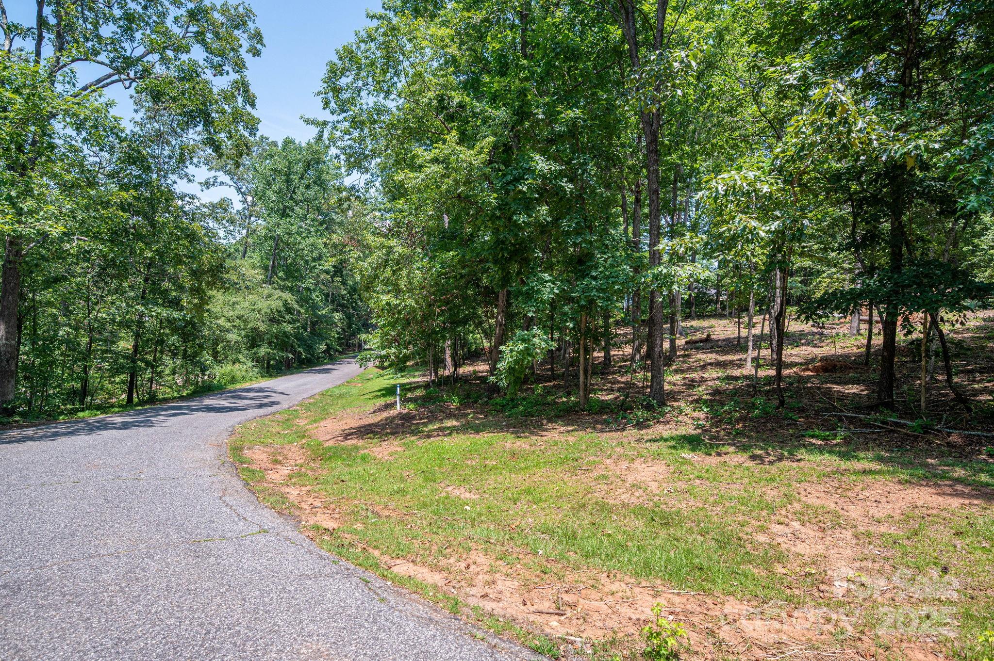 Lot # Moss Drive Rutherfordton, NC 28139 - Photo 15 of 27 a view of a backyard with large trees