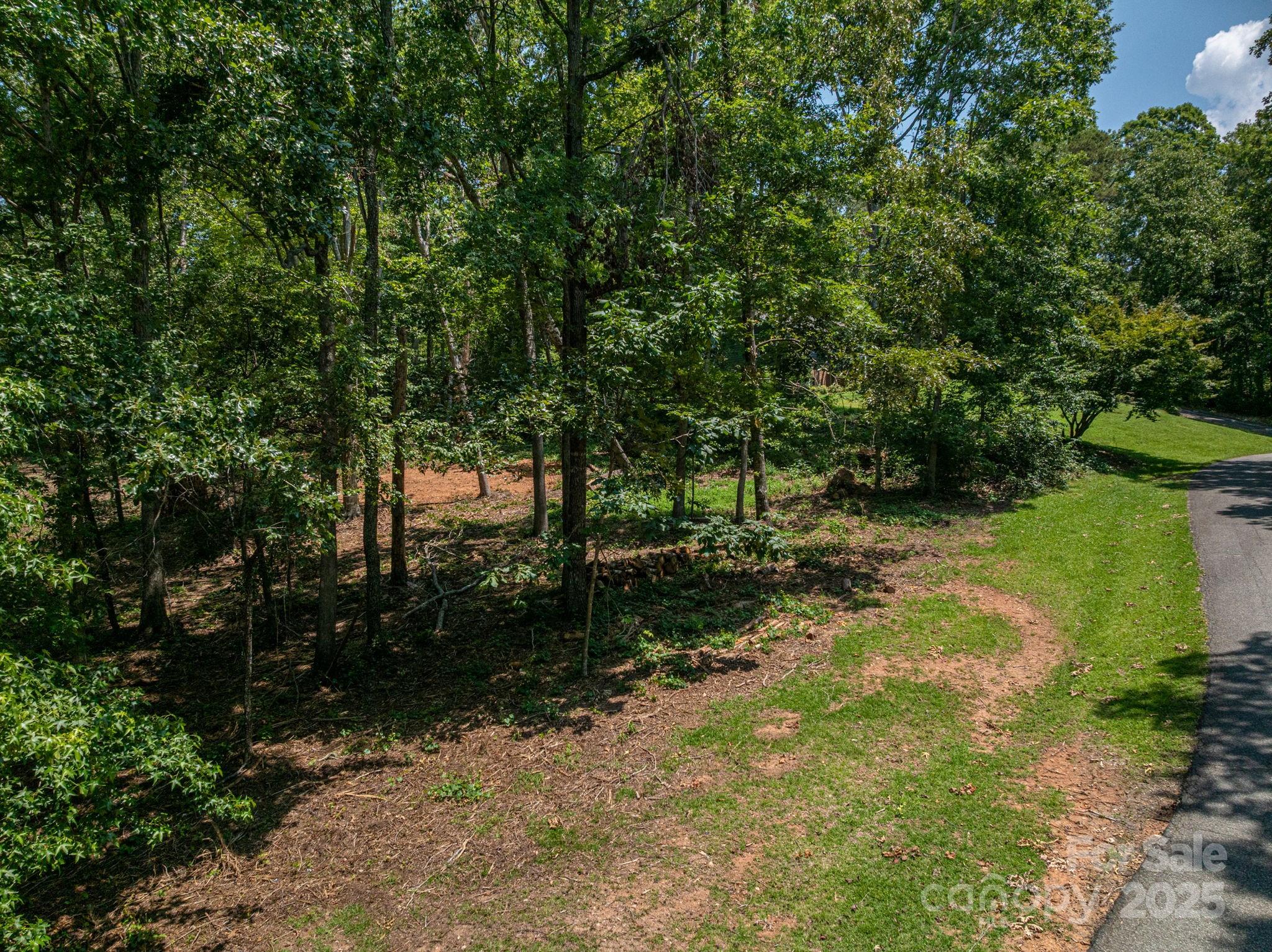 Lot # Moss Drive Rutherfordton, NC 28139 - Photo 2 of 27 a view of backyard with green space