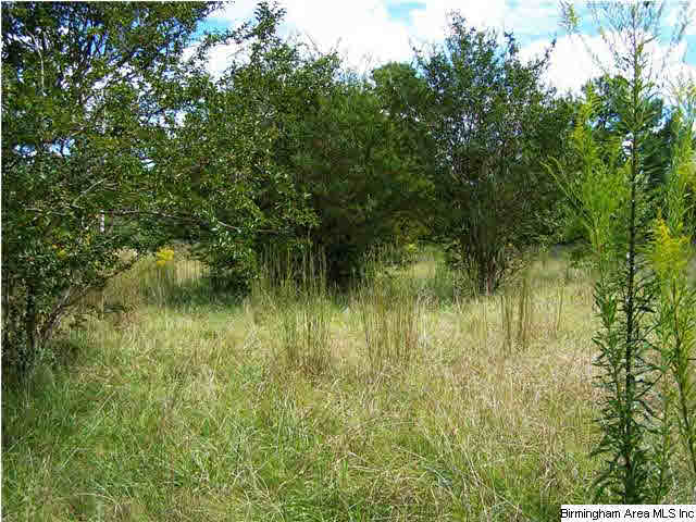 2231 Camp Brownie Road, Unit 5 AC Sylacauga, AL 35151 - Photo 3 of 15