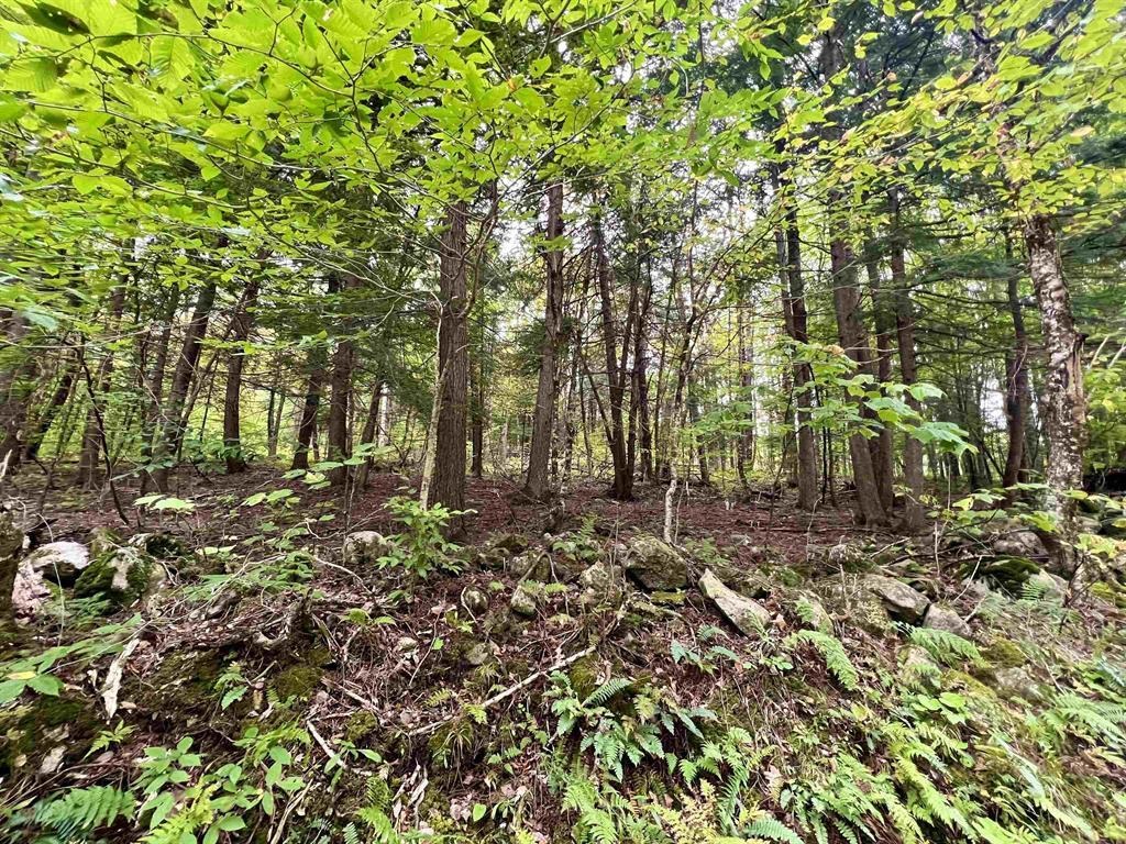 0 Kidder Road Bradford, VT 05033 - Photo 2 of 8