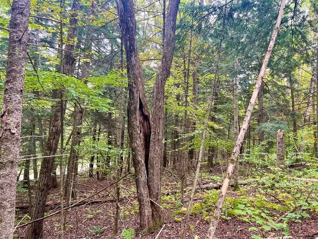 $79,500 | 0 Kidder Road, Bradford, VT 05033