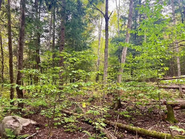 $79,500 | 0 Kidder Road, Bradford, VT 05033