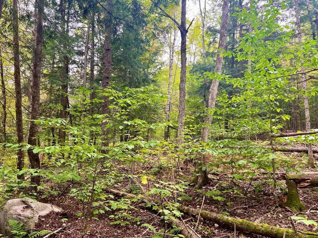 0 Kidder Road Bradford, VT 05033 - Photo 4 of 8