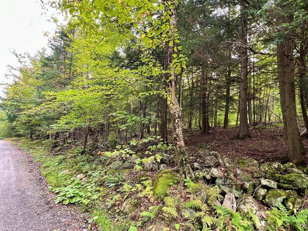 0 Kidder Road Bradford, VT 05033 - Photo 5 of 8