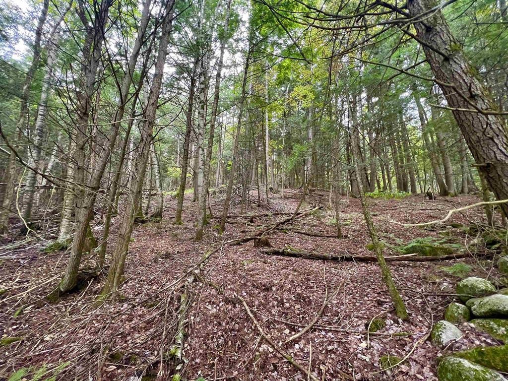 0 Kidder Road Bradford, VT 05033 - Photo 6 of 8