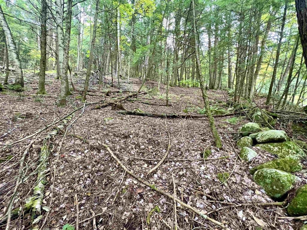 0 Kidder Road Bradford, VT 05033 - Photo 7 of 8