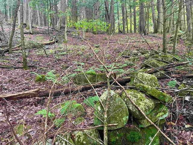 $79,500 | 0 Kidder Road, Bradford, VT 05033