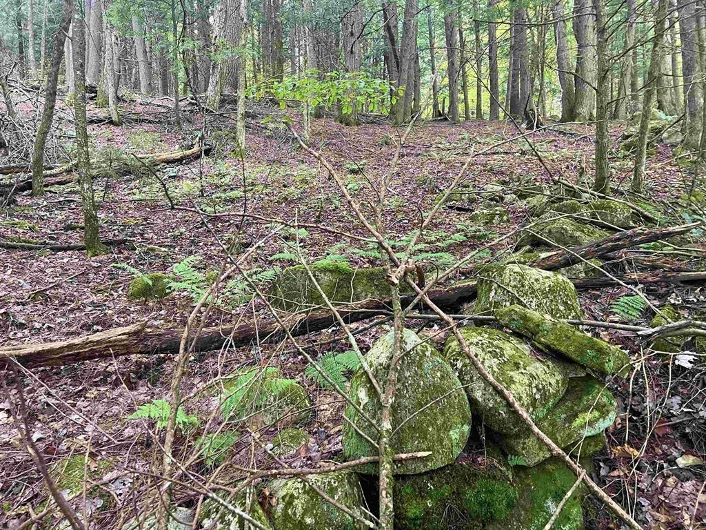 0 Kidder Road Bradford, VT 05033 - Photo 8 of 8