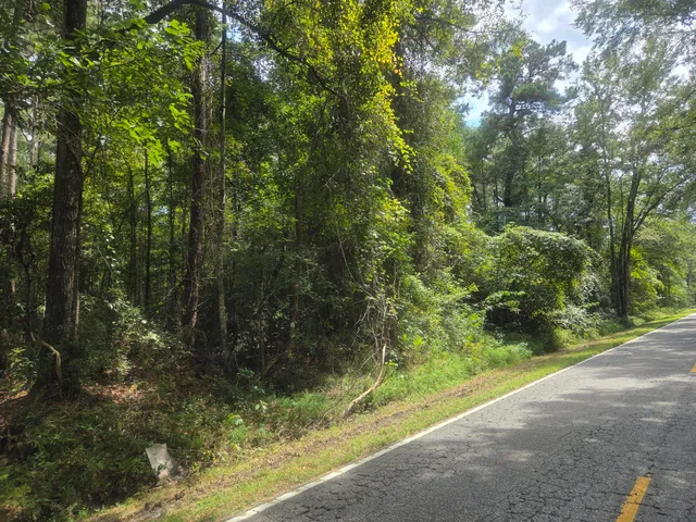 $690,000 | 0 Jacksonboro Road, Cottageville, SC 29435