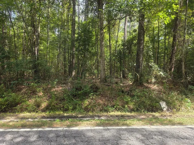 $690,000 | 0 Jacksonboro Road, Cottageville, SC 29435