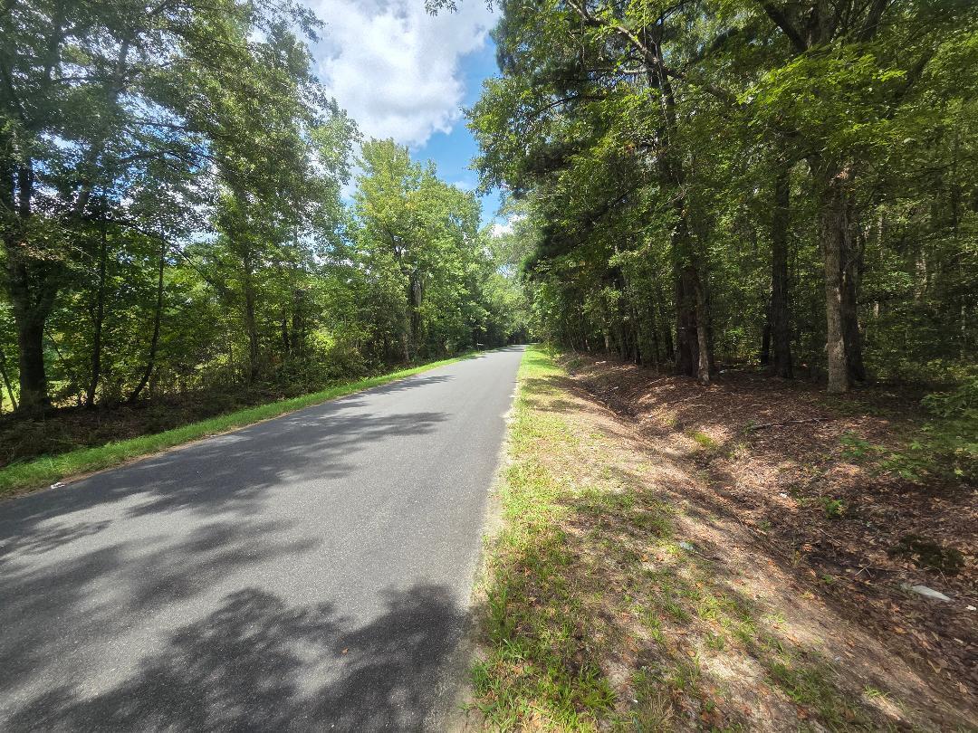 0 Jacksonboro Road Cottageville, SC 29435 - Photo 4 of 4 Endless possiblities