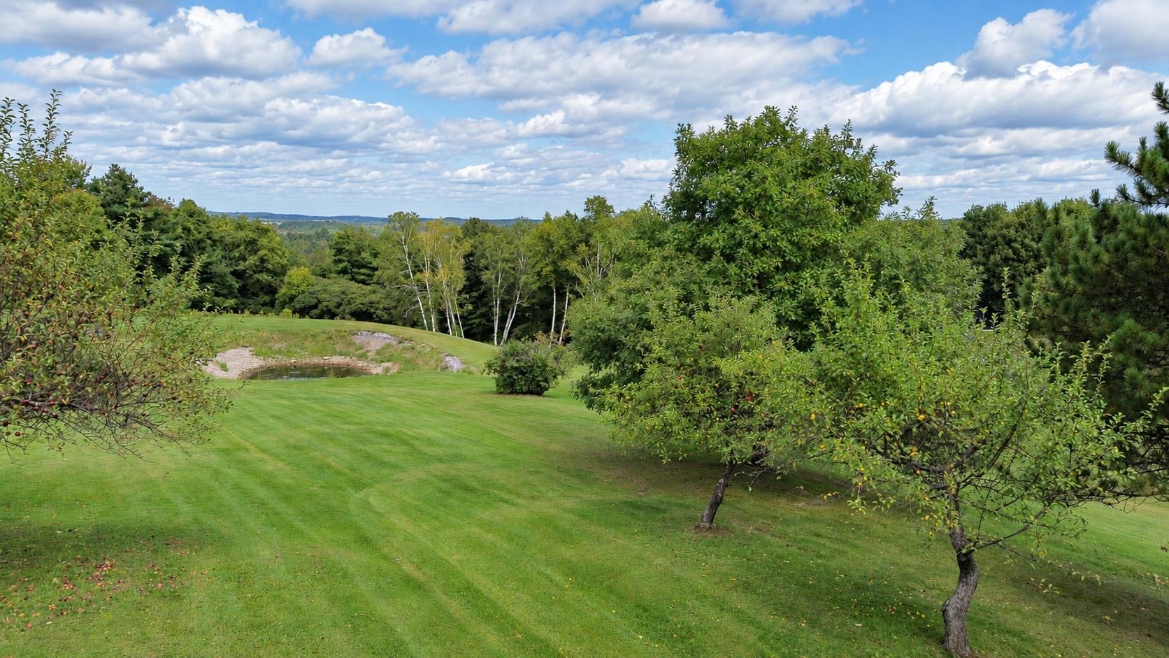 2367 Hollow Road Monkton, VT 05473 - Photo 30 of 38 Gallery Image 30