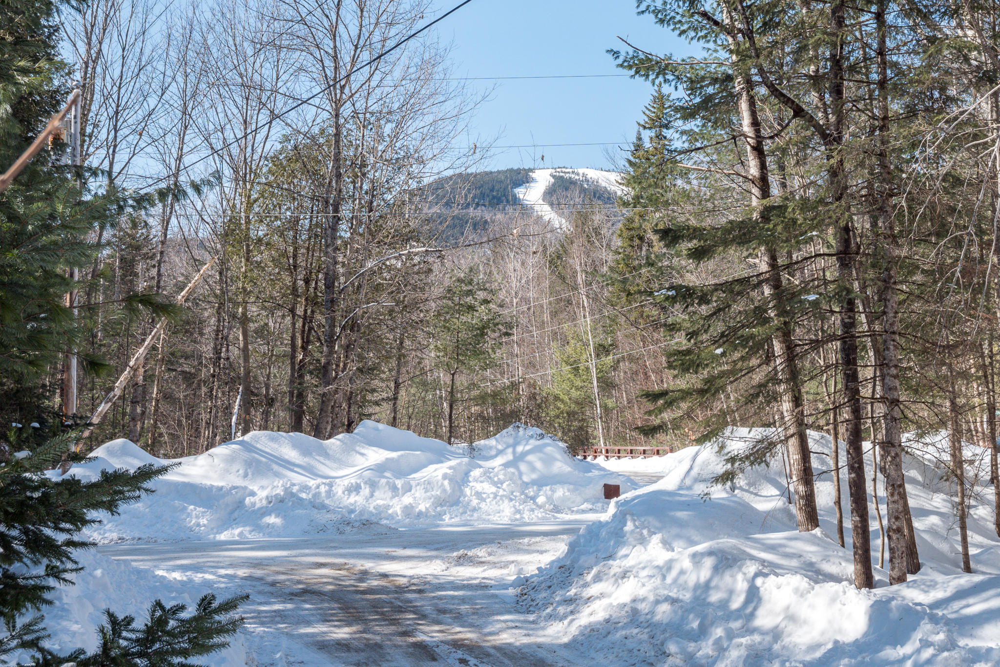 0 Fox Run Road Newry, ME 04261 - Photo 1 of 12 Coombs Lots-18
