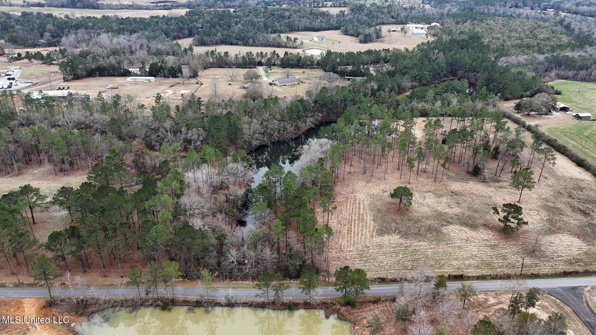 20-ac Summerour Road Lucedale, MS 39452 - Photo 13 of 27 005