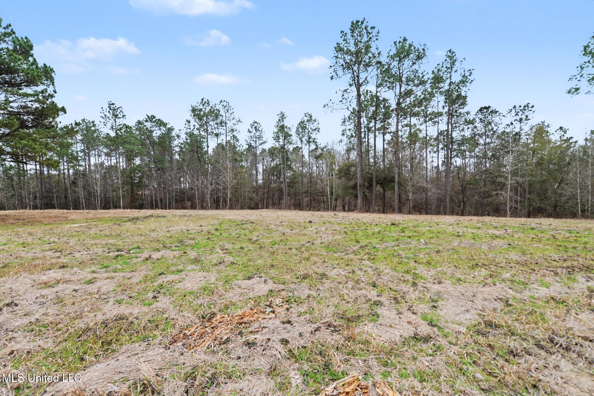 20-ac Summerour Road Lucedale, MS 39452 - Photo 20 of 27 015