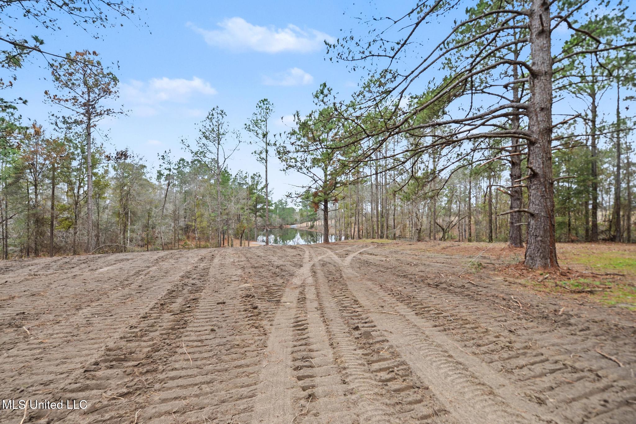 20-ac Summerour Road Lucedale, MS 39452 - Photo 22 of 27 018
