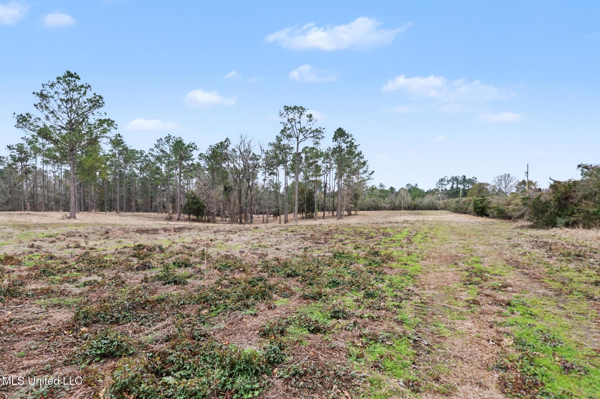 20-ac Summerour Road Lucedale, MS 39452 - Photo 25 of 27 024