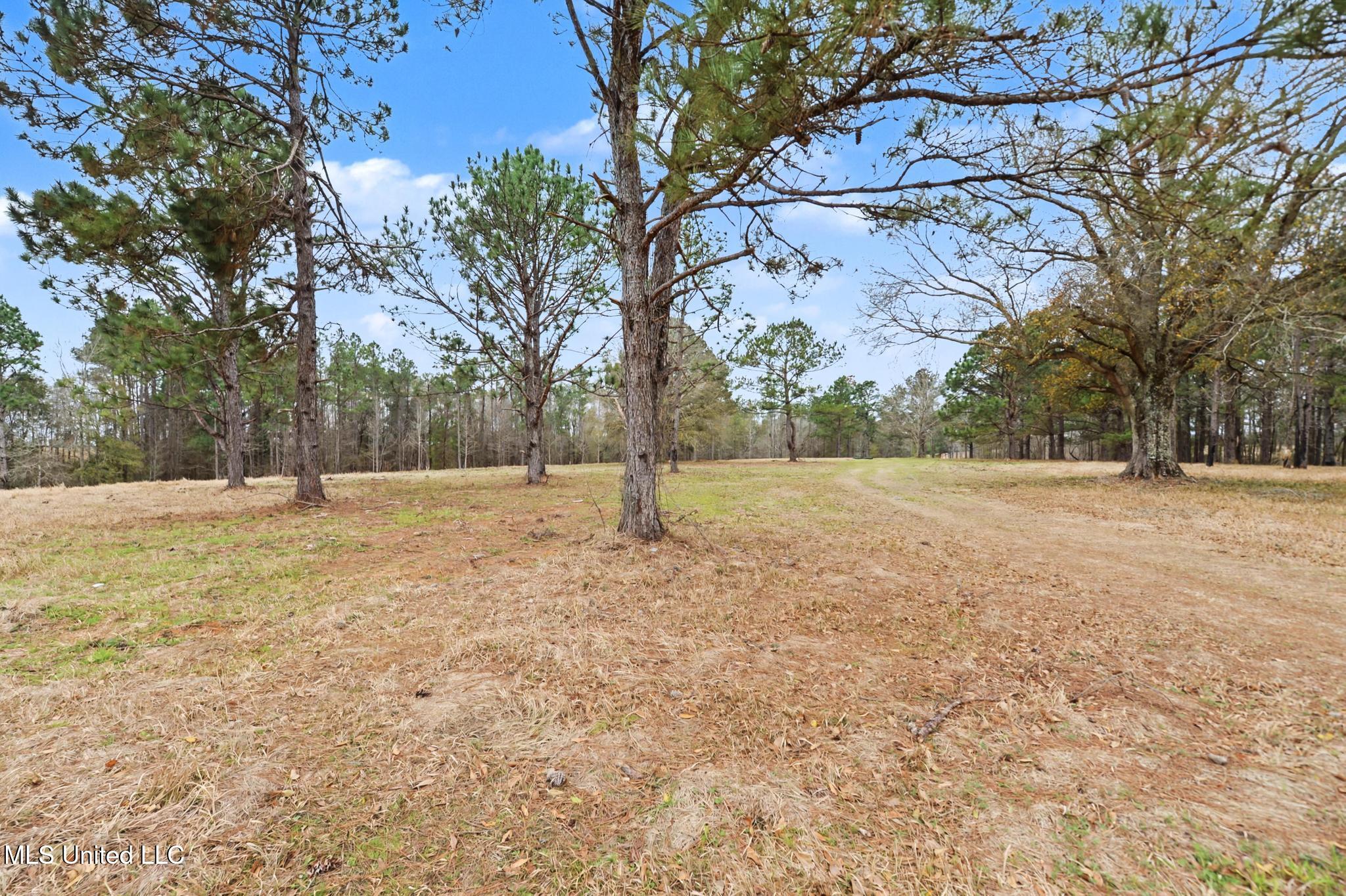 20-ac Summerour Road Lucedale, MS 39452 - Photo 3 of 27 012