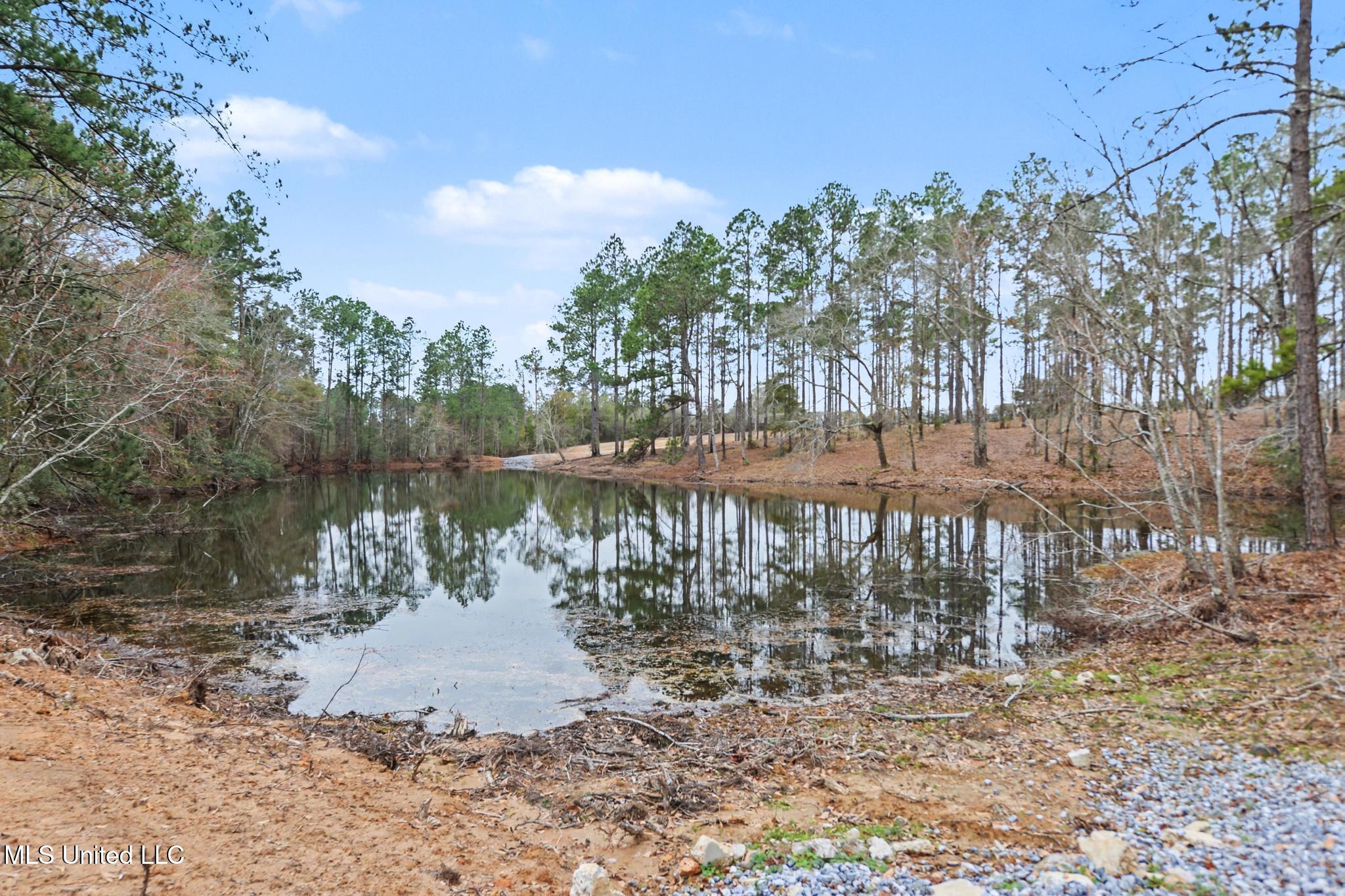 20-ac Summerour Road Lucedale, MS 39452 - Photo 4 of 27 019