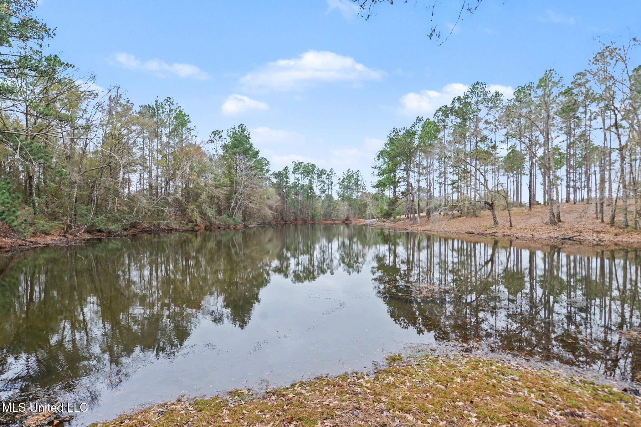 20-ac Summerour Road Lucedale, MS 39452 - Photo 5 of 27 020