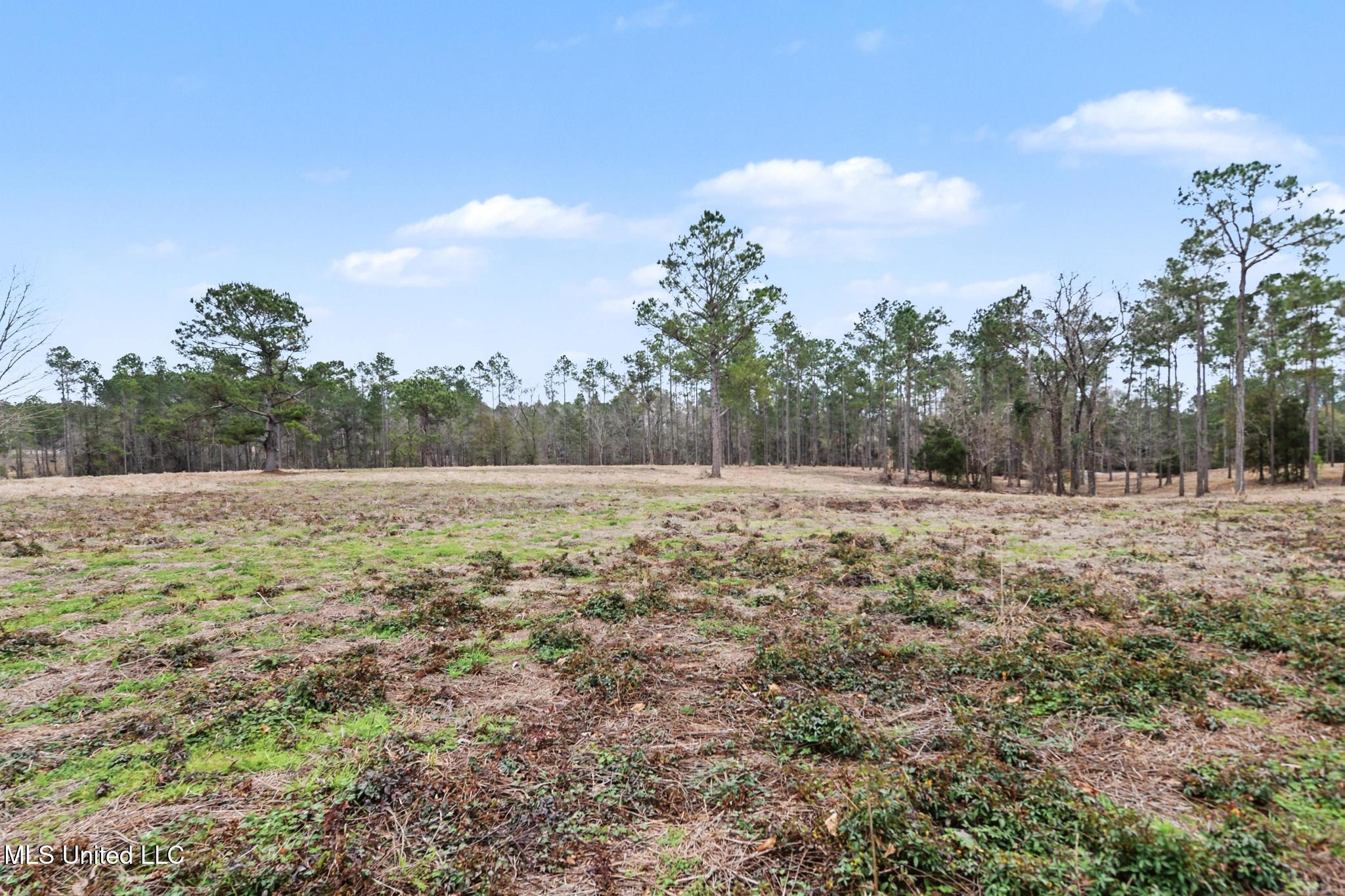 20-ac Summerour Road Lucedale, MS 39452 - Photo 6 of 27 023
