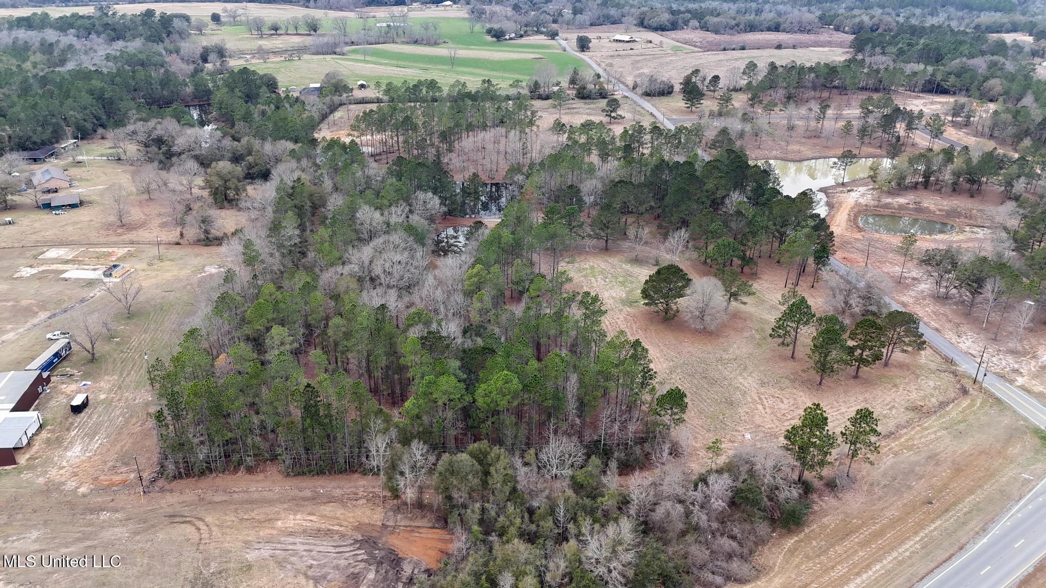 20-ac Summerour Road Lucedale, MS 39452 - Photo 9 of 27 001