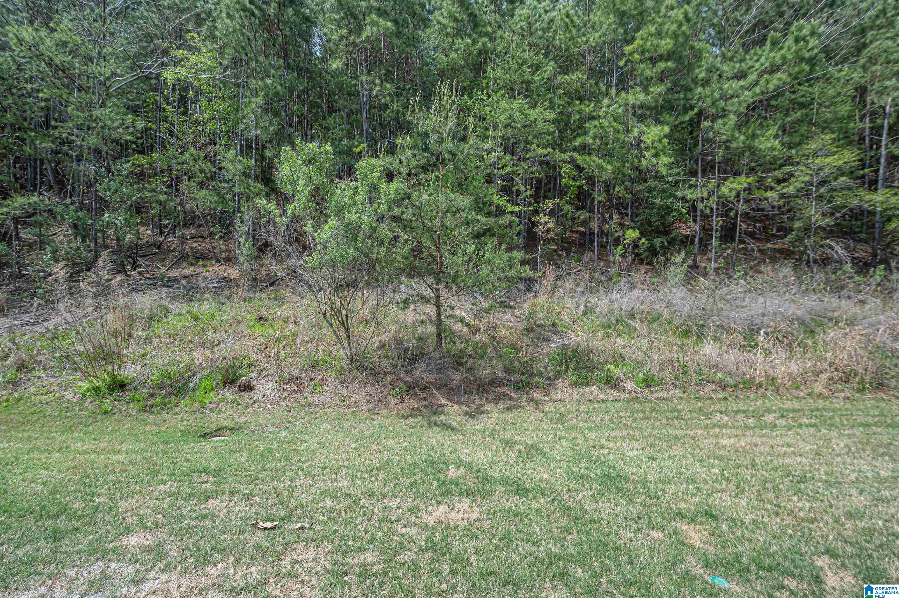 1158 Inverness Cove Way Birmingham, AL 35242 - Photo 41 of 43