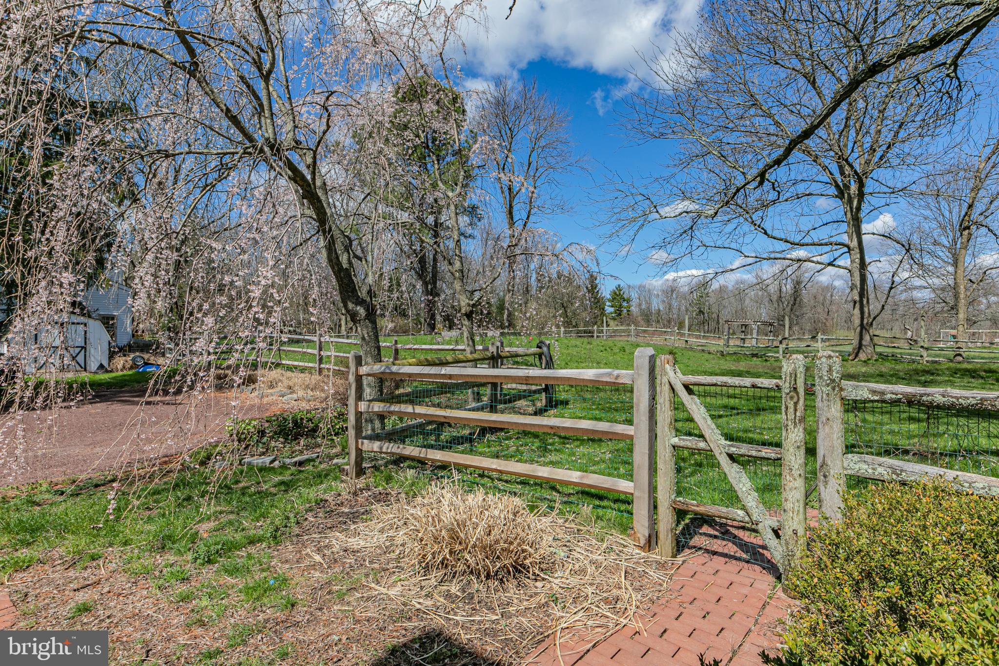 1003 Cherry Valley Road Hopewell, NJ 08525 - Photo 38 of 41 Yard to driveway