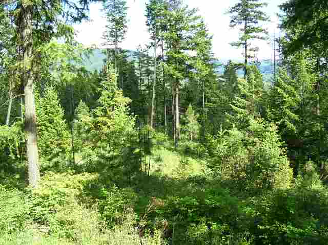2501 Highline Road, Unit LOT #4 Chewelah, WA 99109 - Photo 1 of 5 Gallery Image 1
