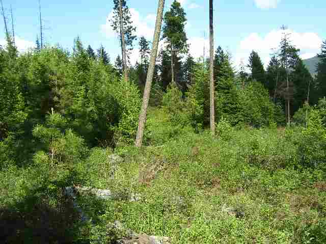 2501 Highline Road, Unit LOT #4 Chewelah, WA 99109 - Photo 2 of 5 Gallery Image 2