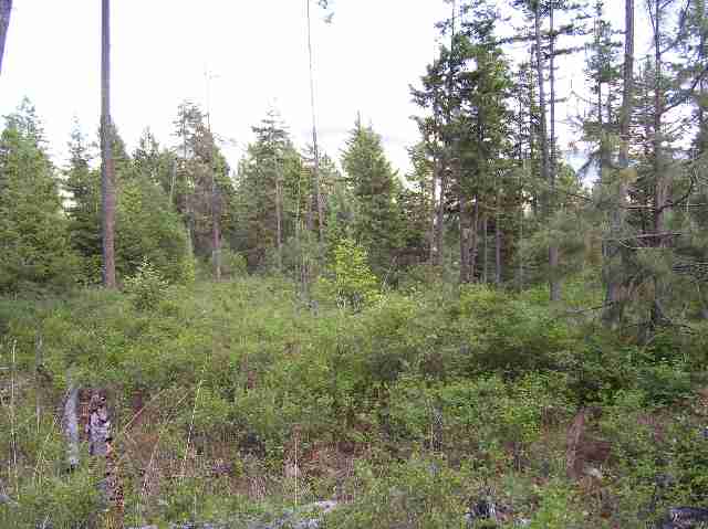 2501 Highline Road, Unit LOT #4 Chewelah, WA 99109 - Photo 3 of 5 Gallery Image 3