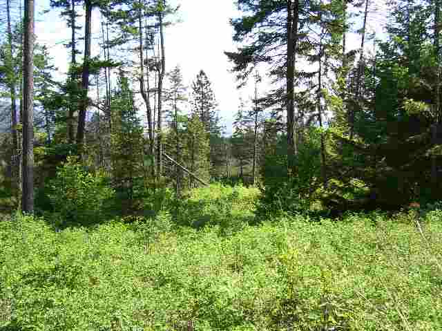 2501 Highline Road, Unit LOT #4 Chewelah, WA 99109 - Photo 4 of 5 Gallery Image 4