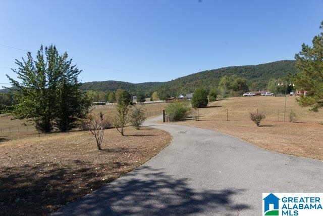 1370 Hollingsworth Road Jacksonville, AL 36265 - Photo 43 of 43