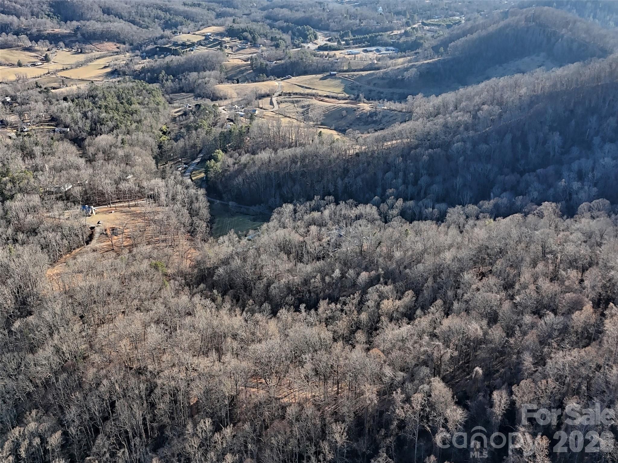 672 Porters Ridge Canton, NC 28716 - Photo 15 of 18