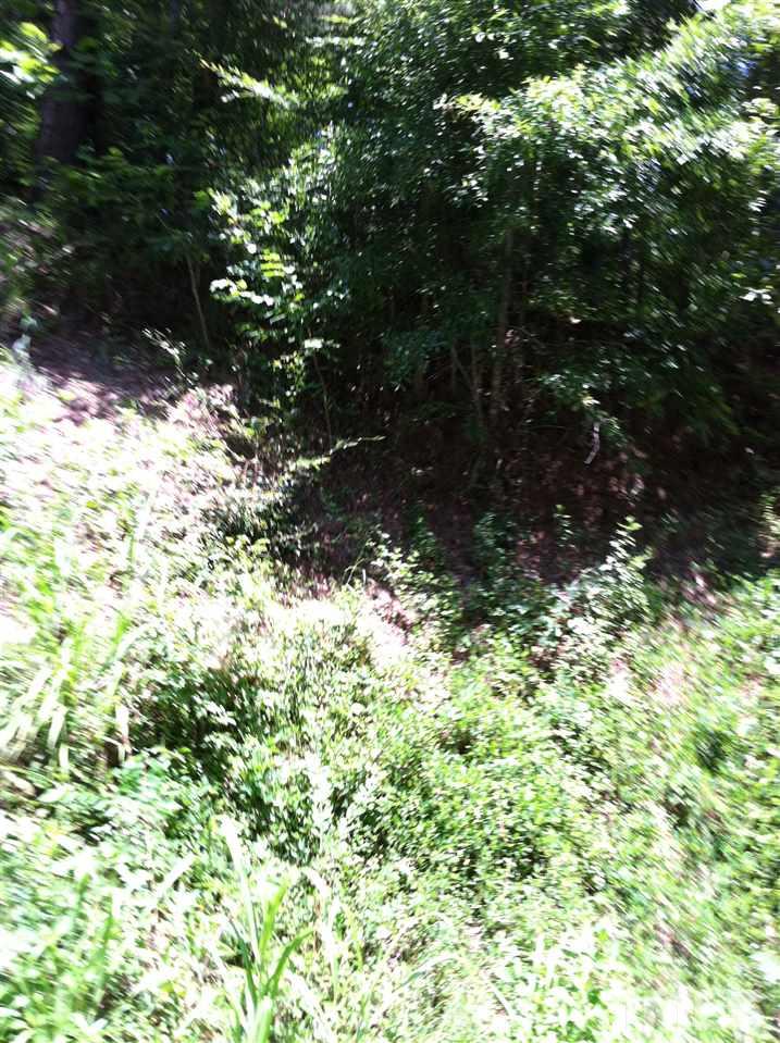 0 Sims Bridge Road Franklinton, NC 27525 - Photo 2 of 6 Gallery Image 2