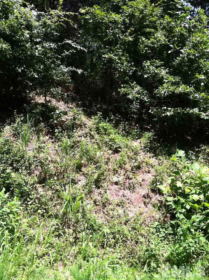 0 Sims Bridge Road Franklinton, NC 27525 - Photo 3 of 6 Gallery Image 3