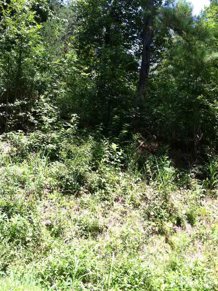 0 Sims Bridge Road Franklinton, NC 27525 - Photo 4 of 6 Gallery Image 4
