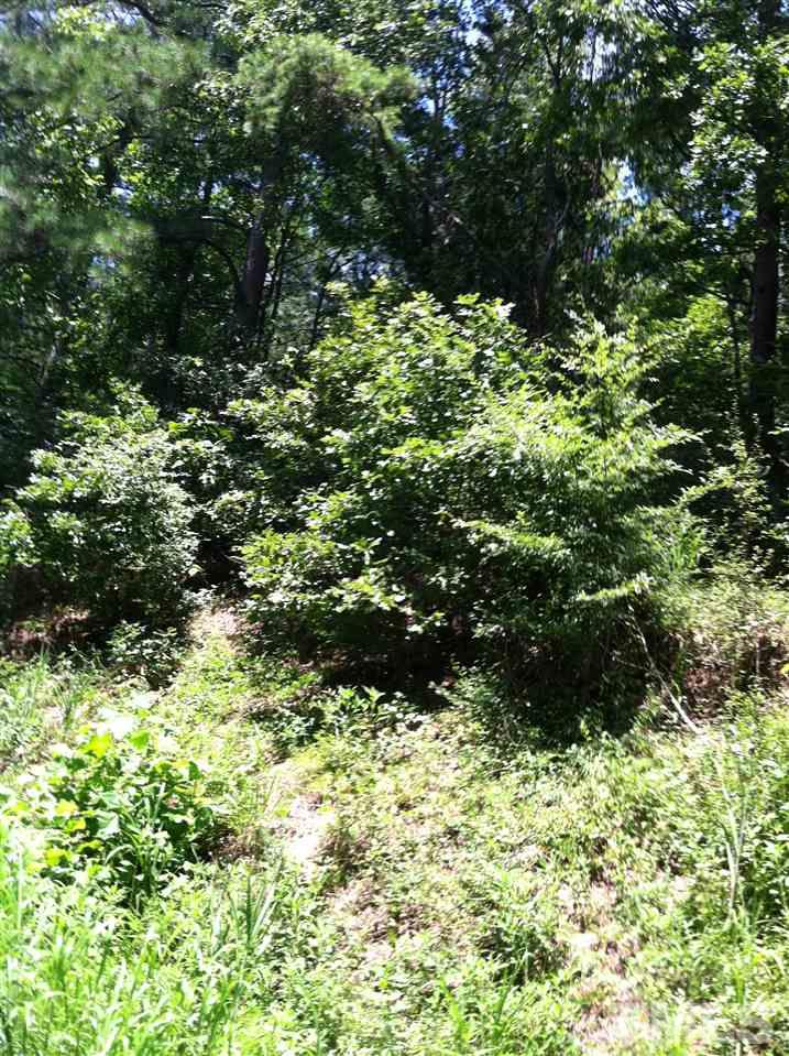 0 Sims Bridge Road Franklinton, NC 27525 - Photo 5 of 6 Gallery Image 5