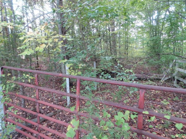 802 State Rd S-11-117 Gaffney, SC 29340 - Photo 2 of 2 Gallery Image 2