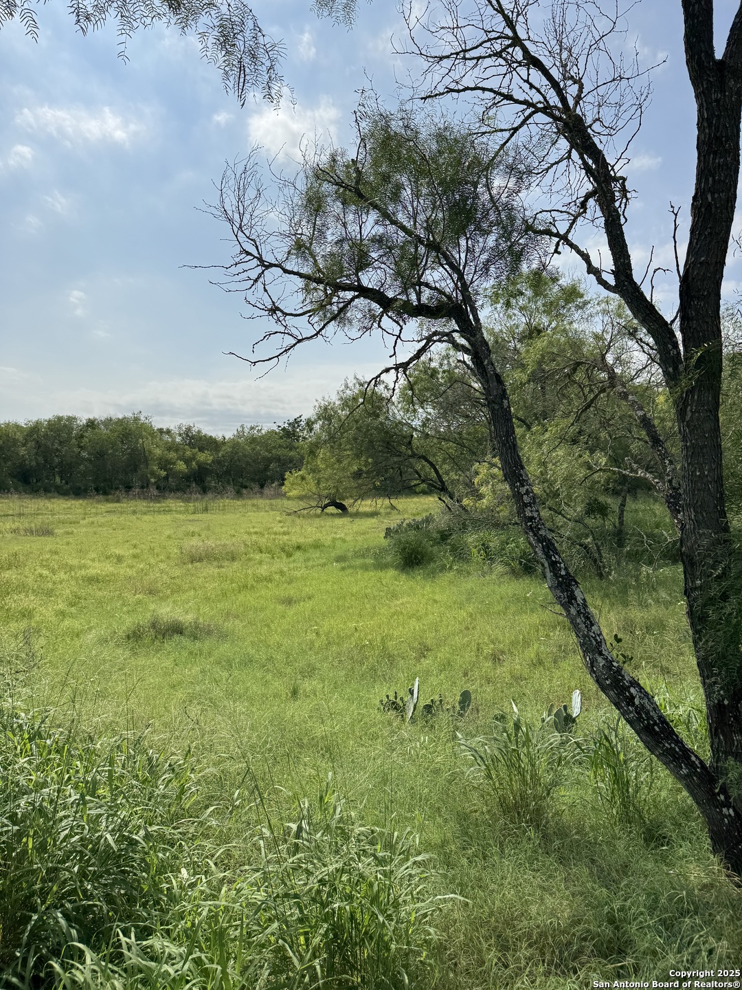 Tbd East Gates Valley Poteet, TX 78065 - Photo 3 of 12 a view of a field with an trees