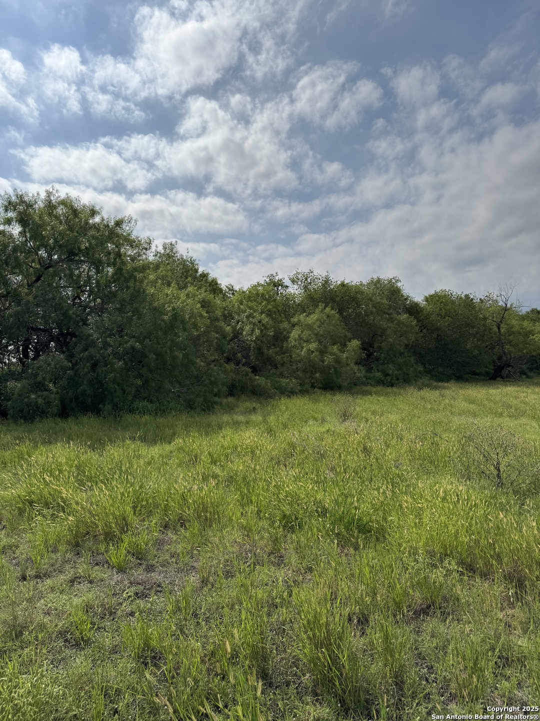 Tbd East Gates Valley Poteet, TX 78065 - Photo 6 of 12 a view of a green yard
