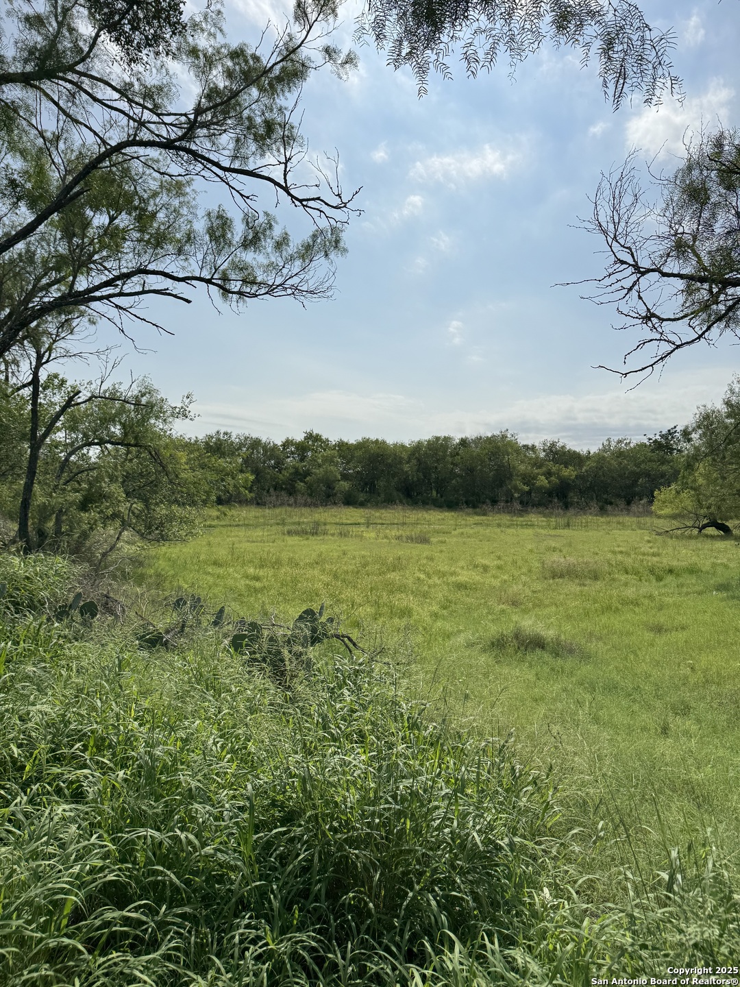 Tbd East Gates Valley Poteet, TX 78065 - Photo 7 of 12 a view of a lake from a yard