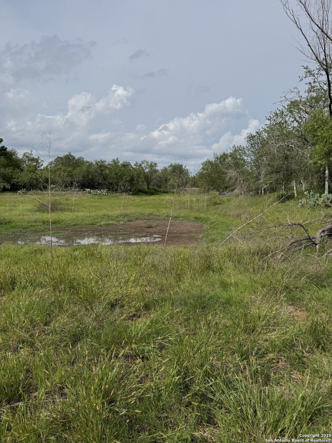 Tbd East Gates Valley Poteet, TX 78065 - Photo 10 of 12 a view of an outdoor space and a yard