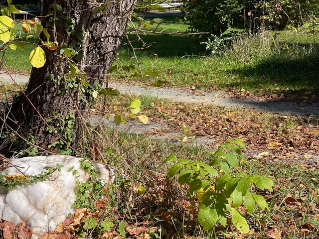a view of an entrance of the house