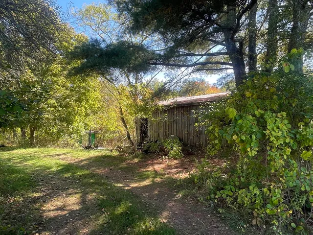 a view of a yard with plants and large trees