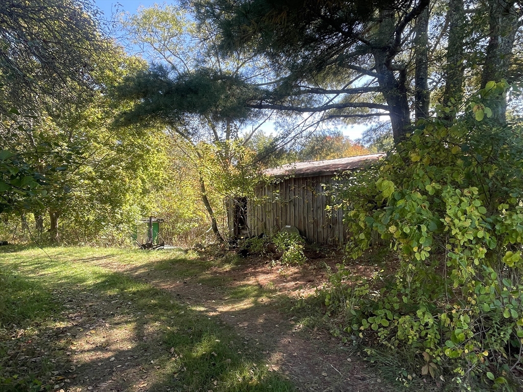 246 Everett Street Middleboro, MA 02346 - Photo 8 of 12 a view of a yard with plants and large trees