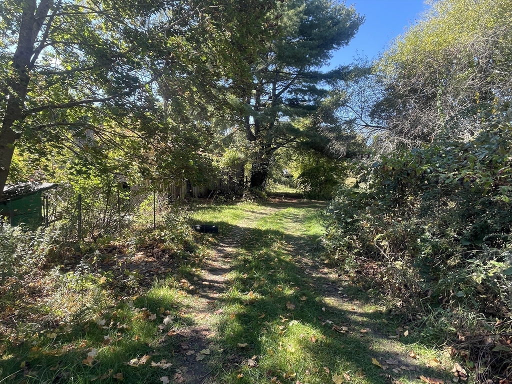 246 Everett Street Middleboro, MA 02346 - Photo 9 of 12 a view of a green yard with large trees